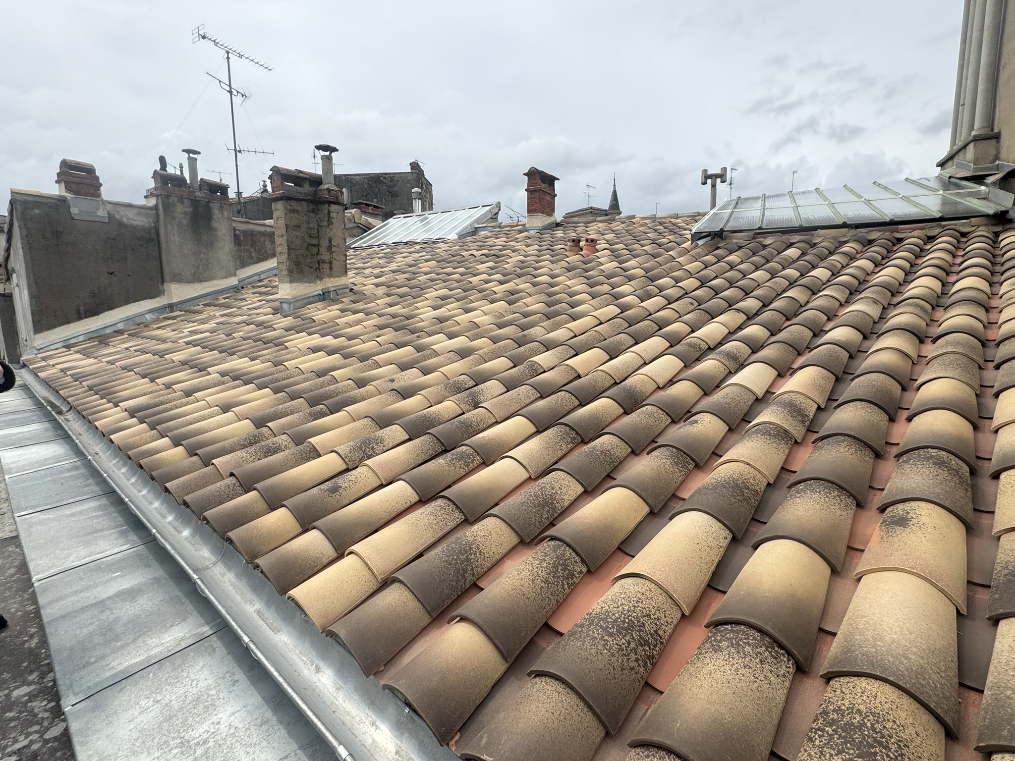 Réfection de couverture au 1 rue Fabre à Montpellier